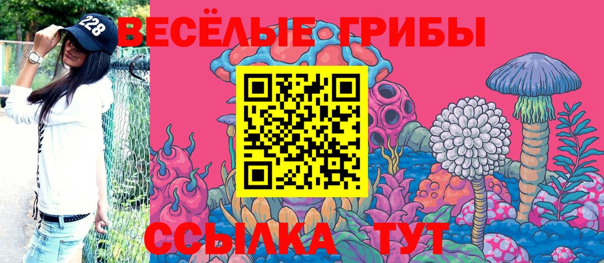 Галлюциногенные грибы мицелий  Вход с VPN  где найти наркотики  Галлюциногенные грибы мухоморы  Краснознаменск 